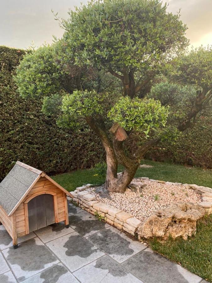 Wooden House Bed and Breakfast Montegrotto Terme Eksteriør billede
